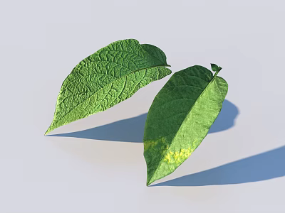 Two green leaves one with yellow spots visible veins on light gray background showing shadows 3d model