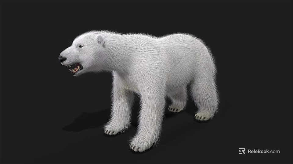 Realistic White Polar Bear Standing On Black Background With Fur Details 3d model 