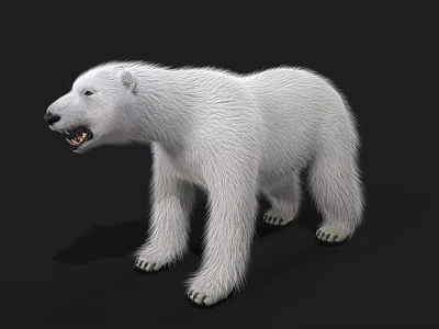 polar bear mammal white bear beast beast of prey 3d model polar bear mammal white bear beast beast of prey 3d model