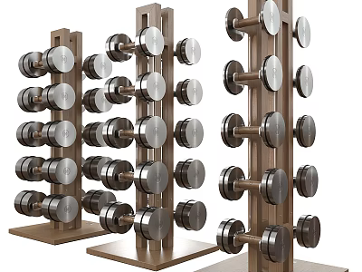 Organized Dumbbells On Metal Racks For Gym Fitness Equipment Storage 3d model