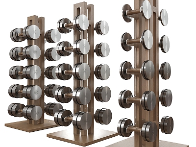 Fitness Equipment Dumbbell 3d model