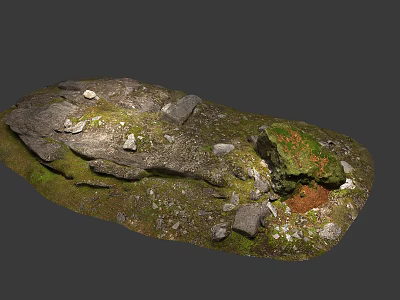 Natural Stone Wood Surface With Moss Covered Areas And Earthy Elements 3d model