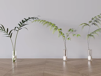 aquatic plants green plants 3d model