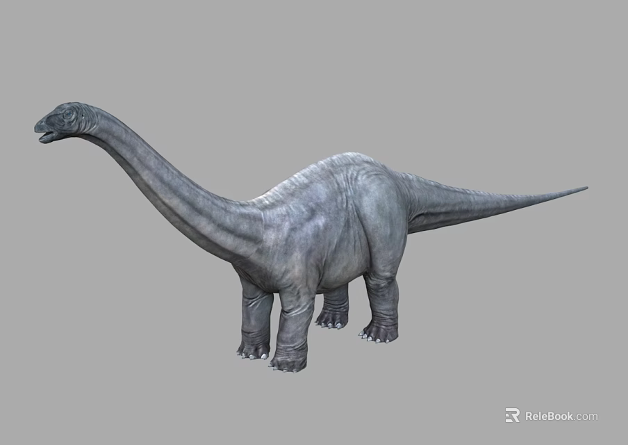 Realistic Sauropod Dinosaur 3D Model With Long Neck And Gray Skin 3d model 