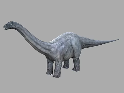 Realistic Sauropod Dinosaur 3D Model With Long Neck And Gray Skin 3d model