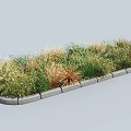 Mixed Green and Golden Shrubs in Garden Bed With Stone Border Design