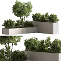Modern Garden Features Design With Concrete Planters Trees And Shrubs