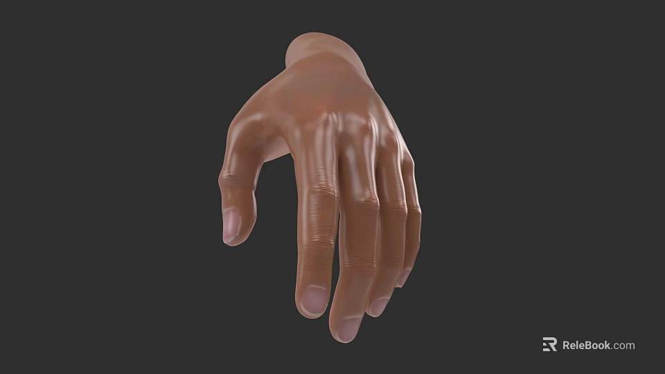 Realistic 3D Model of Human Hand with Brown Skin and Slender Fingers 3d model 
