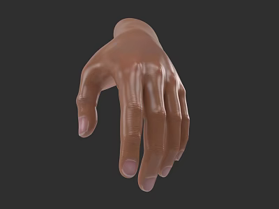 Realistic 3D Model of Human Hand with Brown Skin and Slender Fingers 3d model