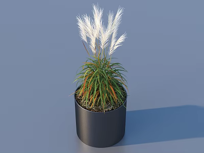 Bonsai Potted Plant with White Feathery Plumes and Green Orange Leaves in Black Pot 3d model