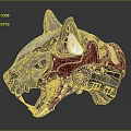 Mechanical Animal Skull Red And Gray Metallic Design Detailed Structure With Gears And Mechanical Parts