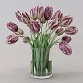 Purple And White Tulips Arranged In Glass Vase With Green Stems