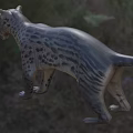 Ancient pseudo-saber-toothed tiger creature 3d model