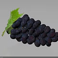 Fresh Juicy Deep Purple Grapes With Green Leaf And Plump Berries