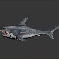 Blue Shark Toy Model With Pink Stripes Open Mouth And Red Sharp Teeth