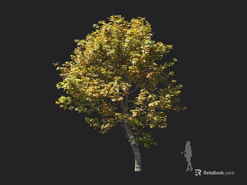Tall Arbor With Yellow Green Leaves And Dense Canopy Near Human Silhouette 3d model 