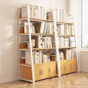 Modern Bookshelf 3d model