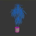 Decorative Green Plant With Long Slender Leaves And Yellow Stripes In White Pot