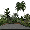 Tropical Green Plant Landscape With Palm Tree Banana Leaves Curved Wooden Path And Small Flowers