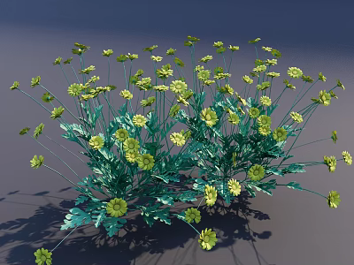 Vibrant Yellow Flowers with Feathery Green Leaves and Slender Stems in Lush Bloom 3d model