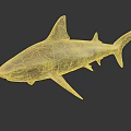 Realistic 3D Shark Model With Detailed Dorsal Fin And Body Features