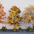 arbor ginkgo tree autumn landscape tree maple stone micro terrain 3d model