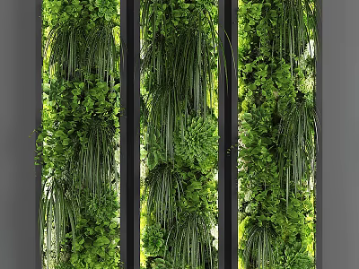 Vertical Green Plant Wall with Lush Foliage and Black Frame Dividers for Modern Interior Decor 3d model