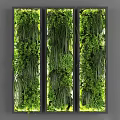 Vertical Green Plant Wall with Lush Foliage and Black Frame Dividers for Modern Interior Decor