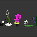 Cartoon Floral Scene With Colorful Flowers Including White Pink Yellow And Purple Blooms