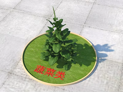 Healthy Fresh Vegetable Plant Placed on Green Mat with Red Text 3d model