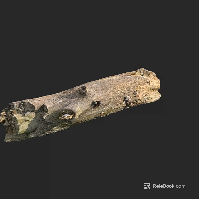 Old Weathered Tree Trunk With Natural Holes And Textures On Black Background 3d model