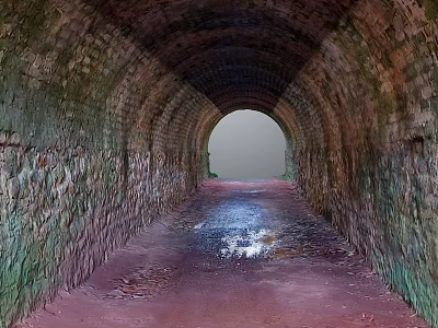 Brick Tunnel Architecture With Moss Covered Walls Red Floor Puddle And Light At End 3d model