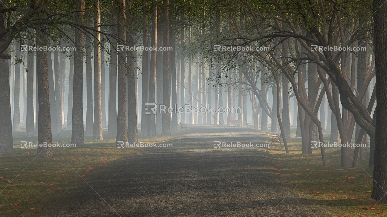 Natural Forest Road Highway Landscape 3d model