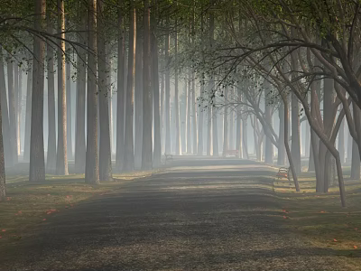 Misty Scenic Forest Path With Tall Trees Straight Trunks And Wooden Bench 3d model