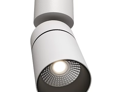 Stylish White Downlight Spotlight With Bright LED Lighting And Modern Sleek Design 3d model