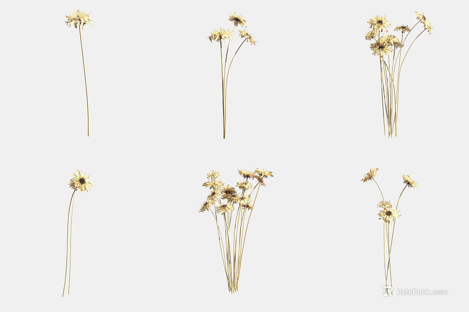 Natural Dried Flowers For Home Decor With Yellow Petals And Thin Stems 3d model 