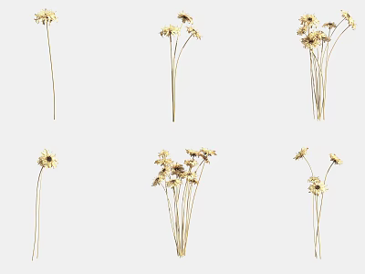 Natural Dried Flowers For Home Decor With Yellow Petals And Thin Stems 3d model