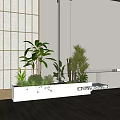 Indoor Plant Combination In White Rectangular Planter With Various Tall And Small Greenery 3d model