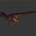 Ferocious Purple Orange Dinosaur With Red Spikes Open Mouth Standing On Dark Background