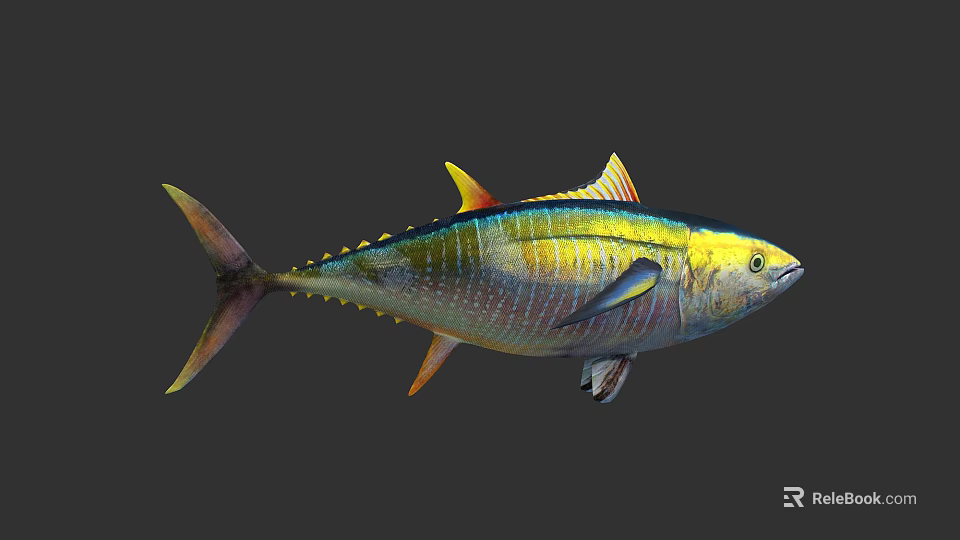 Colorful Marine Fish With Yellow Fins And Shiny Scales Isolated On Dark Background 3d model 
