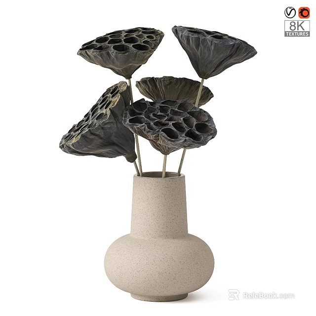 Decorative Ornaments Set With Beige Ceramic Vase And Black Lotus Seedpod Dried Flowers 3d model 
