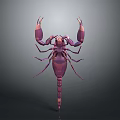 Scorpion 3D Model in Purple and Pink Against Dark Background With Prominent Pincers and Tail