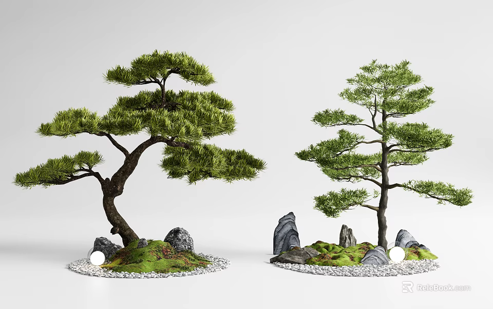 Bonsai Arbor Trees with Pine Foliage Stones Moss and Pebbles 3d model
