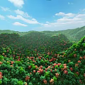 Scenic Mountain Landscape With Lush Green Forest Red Orange Trees Blue Sky And White Clouds