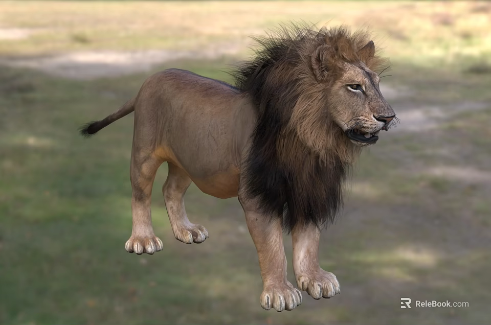 Majestic Male Lion With Thick Mane Standing On Lush Green Grassland 3d model 