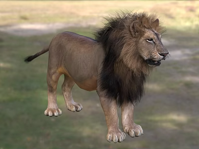 Majestic Male Lion With Thick Mane Standing On Lush Green Grassland 3d model