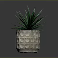 Indoor Green Plant With Long Leaves In Gray Pot With Circular Pattern
