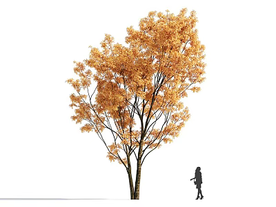 Golden Leaf Tree with Silhouette of a Little Girl in Autumn Outdoor Scene 3d model