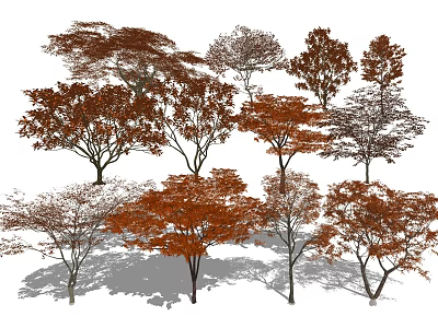 Multiple Types Of Autumn Trees With Brown Red Foliage And Natural Shadows 3d model