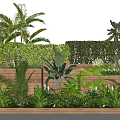 Bonsai and Potted Plants Garden Design Featuring Green Wall And Wooden Planters
